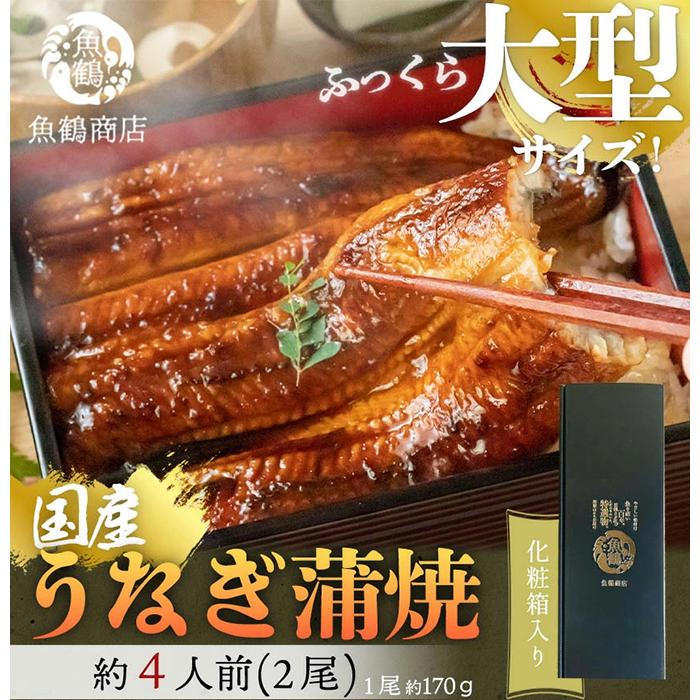 大型サイズ　ふっくら柔らか　国産うなぎ蒲焼き　2尾　化粧箱入［夏土用の丑の日のうなぎ］［7月19日までにお届け］［UT05］
