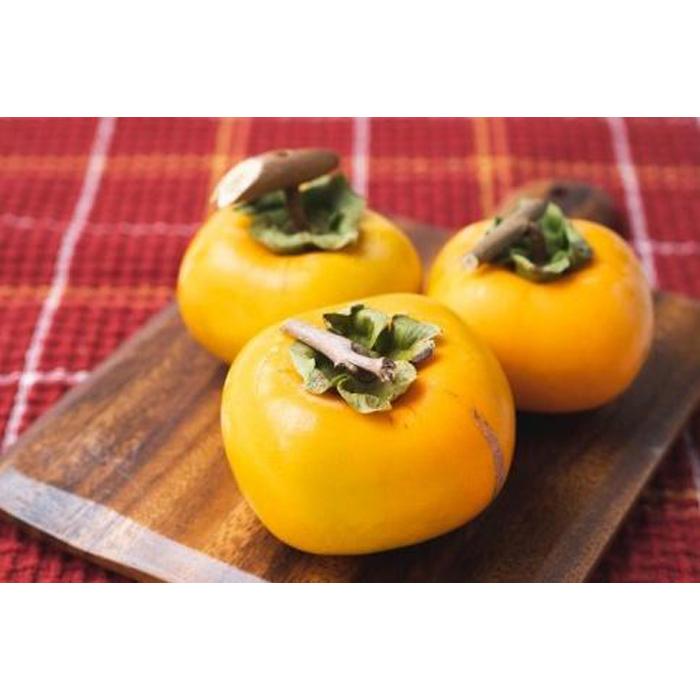 吊るし柿たね無渋柿T軸又はクリップ付紐付約1.5～2kg　約6～12個＜2025年10月中旬～11月上旬ごろ順次発送＞【ART11】