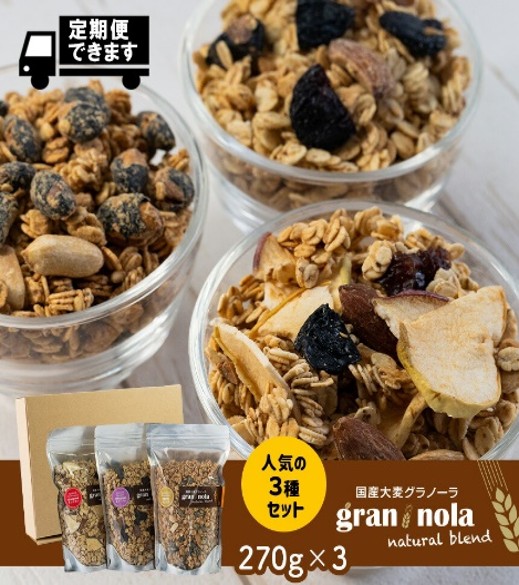 国産大麦グラノーラ [小麦粉不使用]Lサイズ 人気の3個セット|果物 フルーツ 朝食 軽食 おやつ 食物繊維 国産原料 信州産 長野県 千曲市