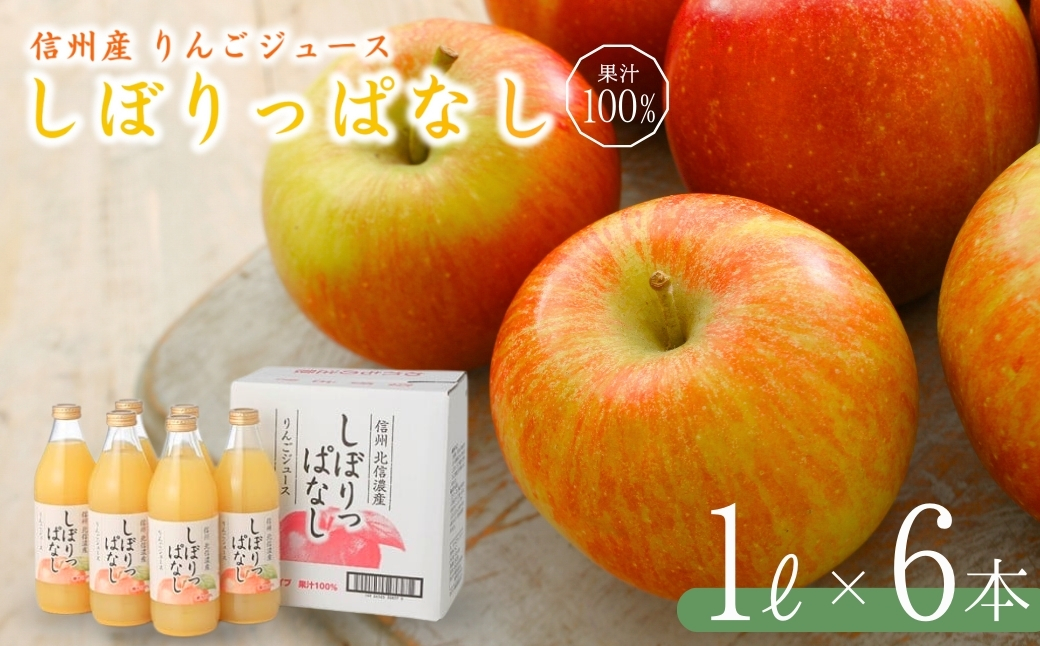 信州産 りんごジュース 「しぼりっぱなし」 果汁100% (1L×6本)|ストレートジュース 信州 長野県 千曲市