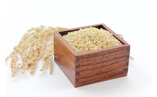 佐賀県産ゆめしずく（特A） 玄米5kg×3回定期便 999-B750