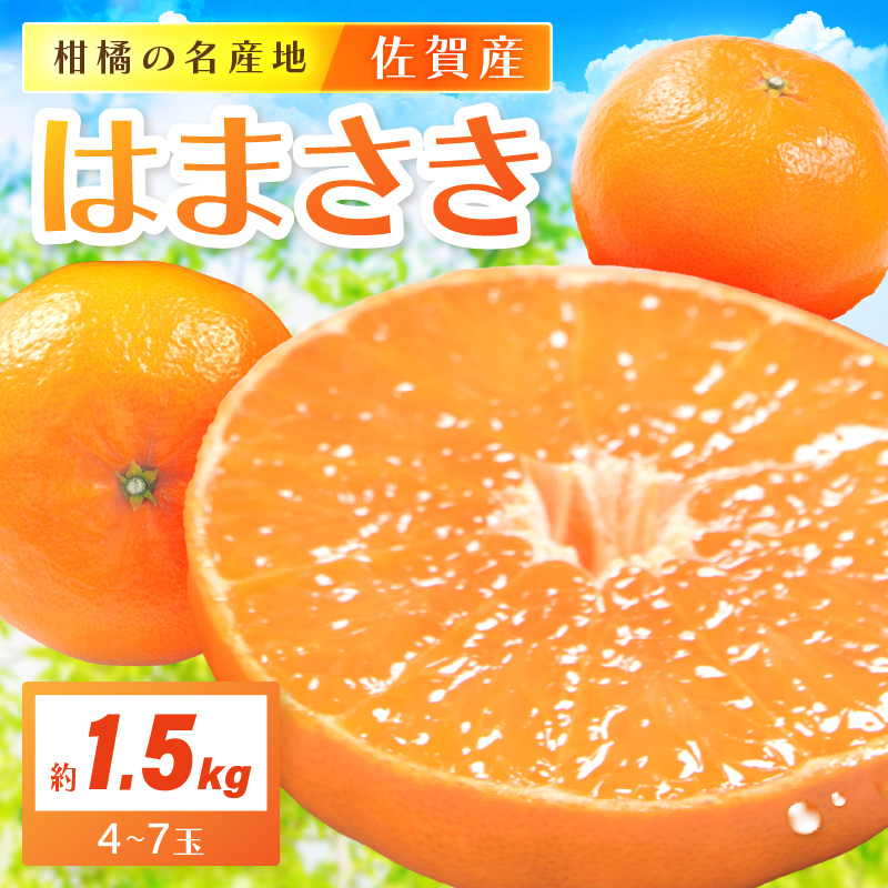 佐賀産 柑橘 「はまさき」 約1.5kg箱 (4-7玉) 147-B806