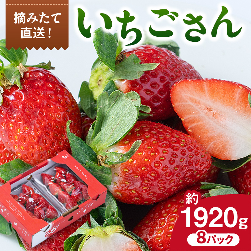 佐賀産 いちごさん 8パック 147-B812