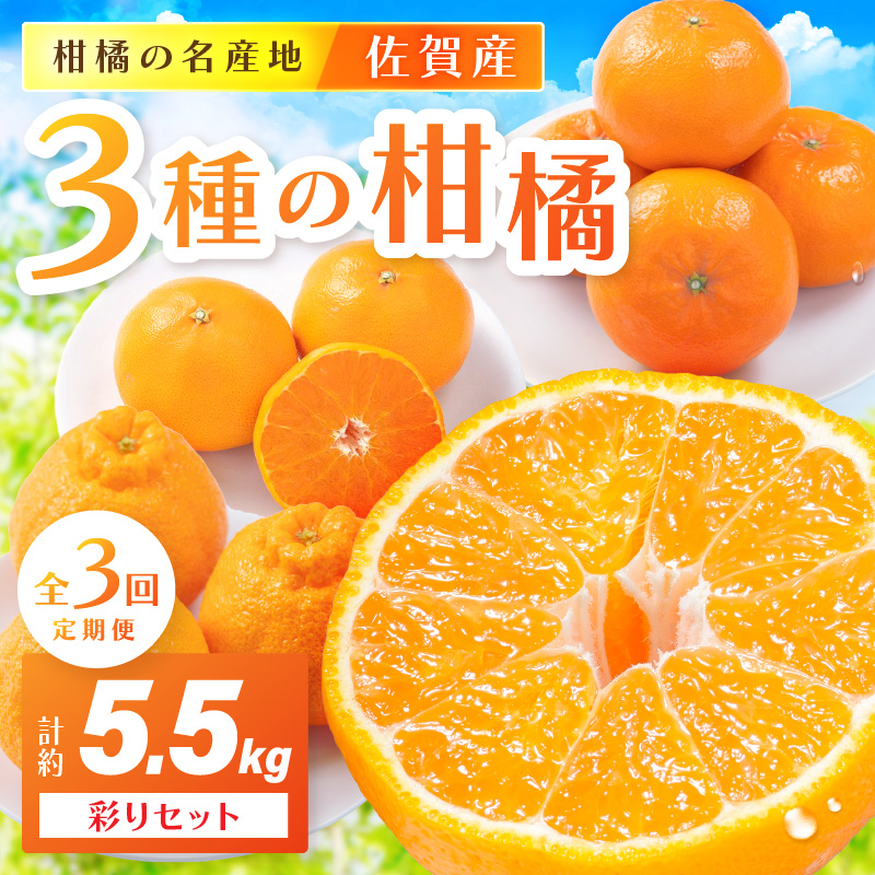 佐賀産 柑橘定期便 彩りセット【全3回】 せとか はまさき デコポン 999-B859