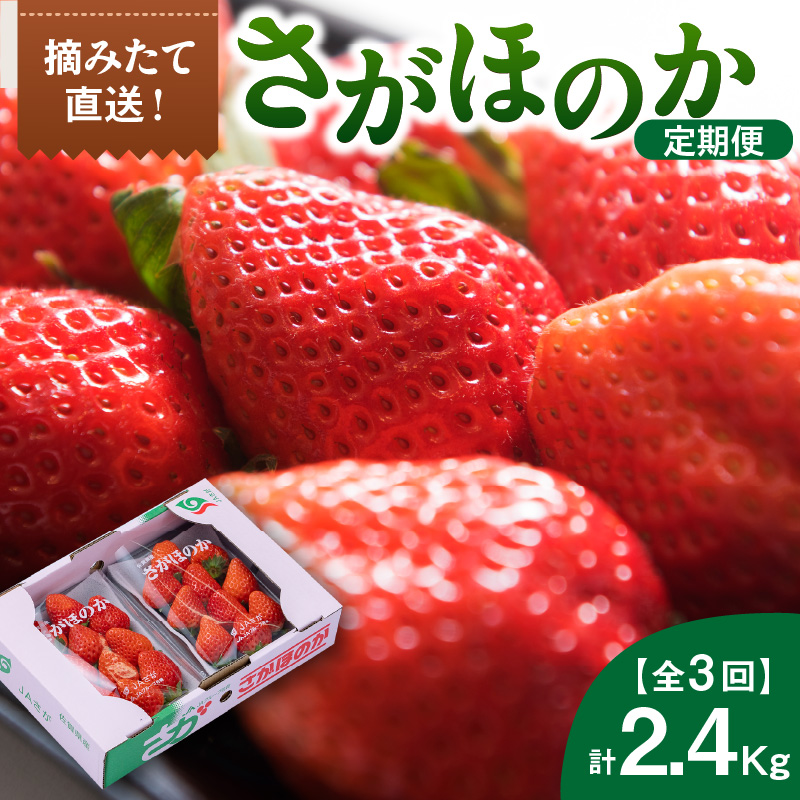 佐賀産「さがほのか」定期便 彩りセット【全3回】 999-B865