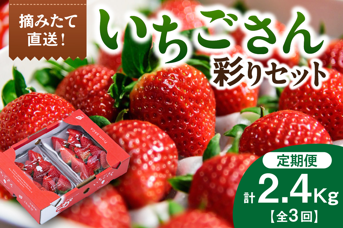 佐賀産「いちごさん」定期便 彩りセット【全3回】 999-B867