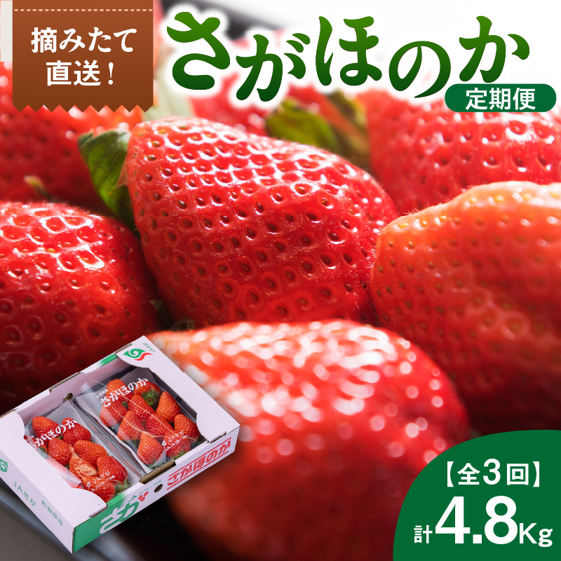 佐賀産「さがほのか」定期便 満喫セット【全3回】 999-B866