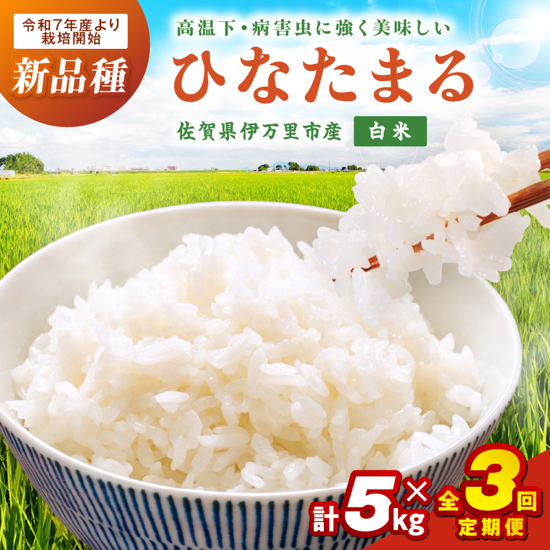 【3ヶ月定期便】伊万里産米ひなたまる精米5kgx3 999-B889