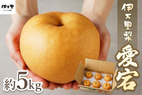 【令和7年産先行予約】伊万里梨 「愛宕」 約5kg 大型種 178-B164