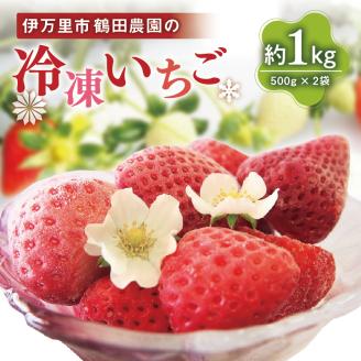 【数量限定】伊万里産急速冷凍いちご1kg ~鶴田農園~ 046-B383