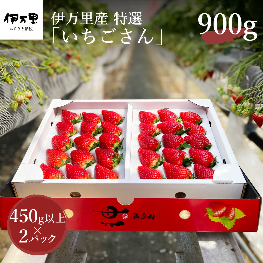 【先行予約】伊万里産 特選「いちごさん」 450g 以上× 2パック ~鶴田農園~ 046-B833