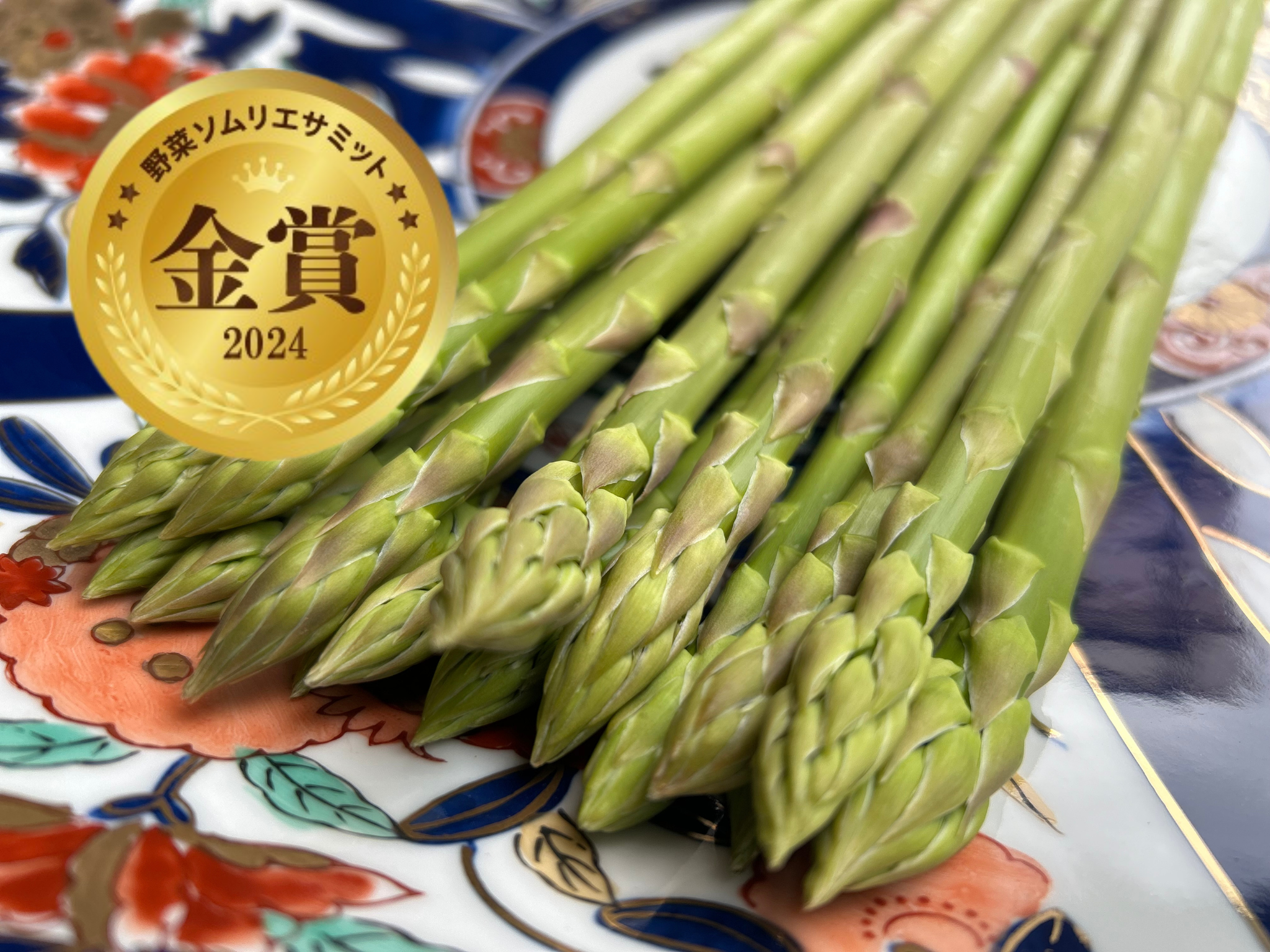 【先行受付　令和8年3月より順次発送】野菜ソムリエサミット 2024年3月度『金賞』受賞 《梅村農園のアスパラガス》 500g 174-B537