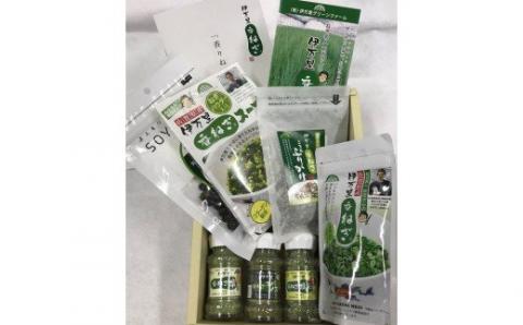 調味料 スパイス スープ 伊万里香ねぎ厳選セット 089-G093