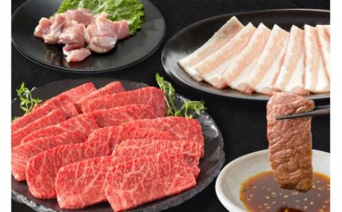 スタミナ満点！バーベキューセット 約1kg モモ 牛肉 豚肉 鶏肉 002-J339