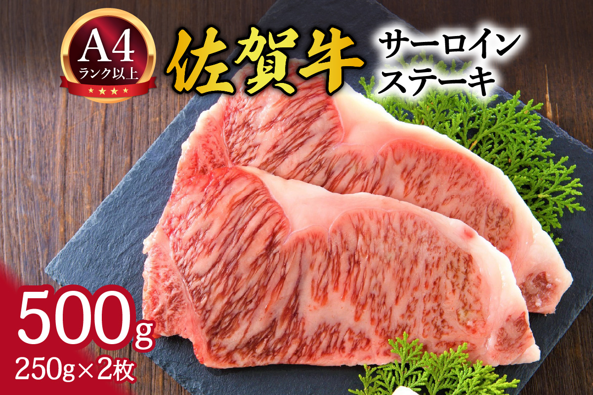 【 佐賀牛 】 艶さし! サーロイン ステーキ セット 500g(250g×2枚) 159-J1054