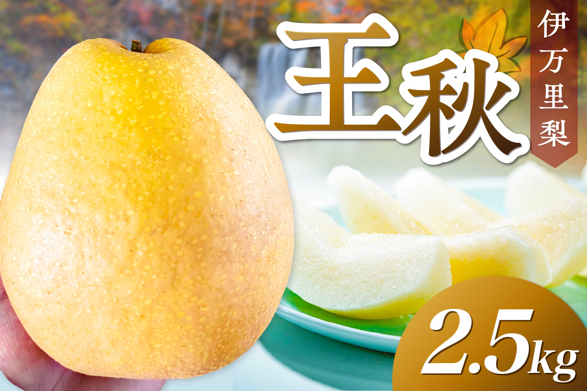 【 数量限定 】 伊万里梨 王秋 2.5kg 令和7年産 113-B852