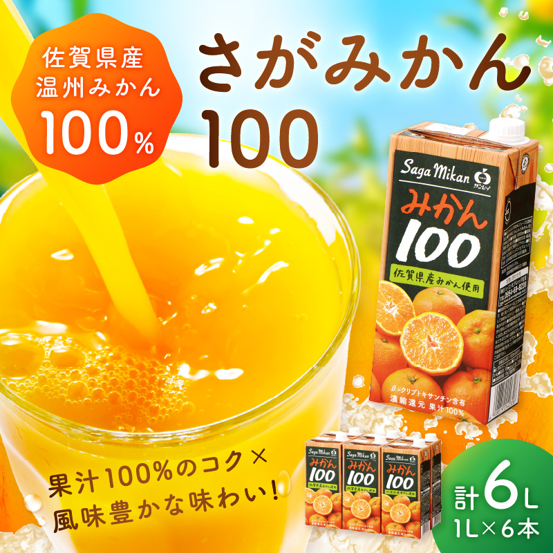 【佐賀県産温州みかん使用】 みかんジュース さがみかん100 1L×6本 果汁100% 173-A057
