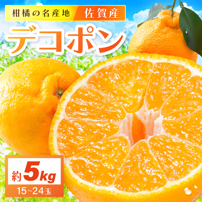 佐賀産 デコポン 約5kg (15-24玉) (伊万里市) 柑橘類 147-B803