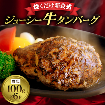 和泉市牛タンバーグ100g×6パック(冷凍)【配送不可地域:離島】【1577215】