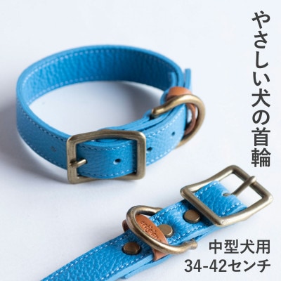 首輪 本革 イタリアンレザー ブルー 中型犬用 (34-42センチ)ペット用品【dc-01ss】【1663242】