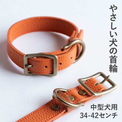 首輪 本革 イタリアンレザー オレンジ 中型犬用 (34-42センチ)ペット用品【dc-01ss】【1663249】