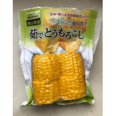 旬の食材が味わえる簡便野菜セット【1533888】