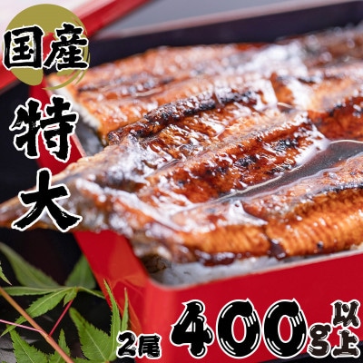 絶品!!国産うなぎ蒲焼き 特大サイズ(2尾×約200g)【配送不可地域:離島】【1668045】