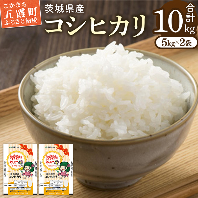 令和7年産 茨城県産コシヒカリ10kg（5kg×2） ／ お米 精米 こしひかり 旨味 安心 美味しい JA茨城むつみ 茨城県 五霞町【価格改定】