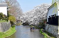 自然環境及び地域の歴史的遺産の保全