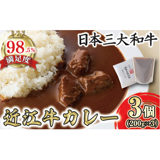 【カネ吉山本】近江牛ビーフカレー（200g×3個入り）【Y185W】