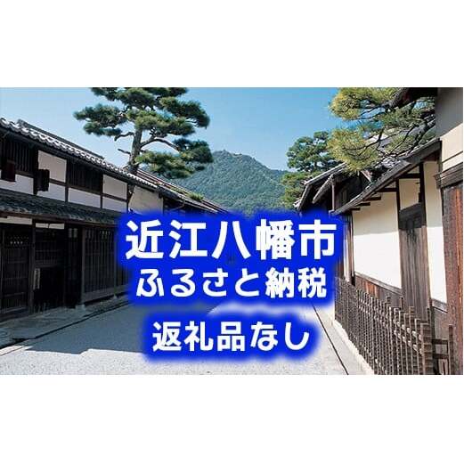 【返礼品なし】滋賀県近江八幡市への応援寄附金 300,000円【OM010W】