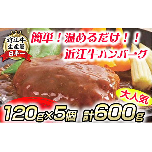 【総本家肉のあさの】近江牛ハンバーグ【600ｇ（120ｇ×5個）】【AE14U】