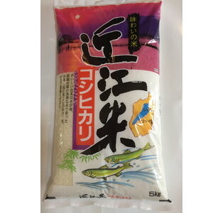 【新米】【7年産】近江米こしひかり【5kg×1袋】【T019W1】