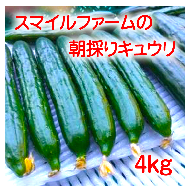 朝採りきゆうり4kg【FM01W】