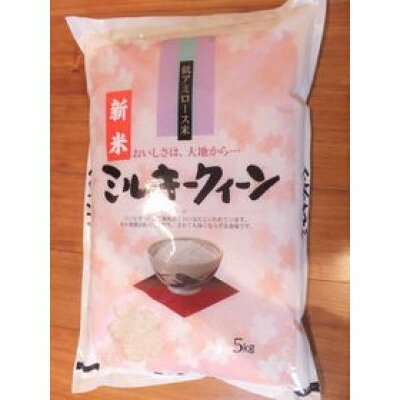 【新米】【7年産】近江米ミルキークイーン【5kg×1袋】【T029W1】