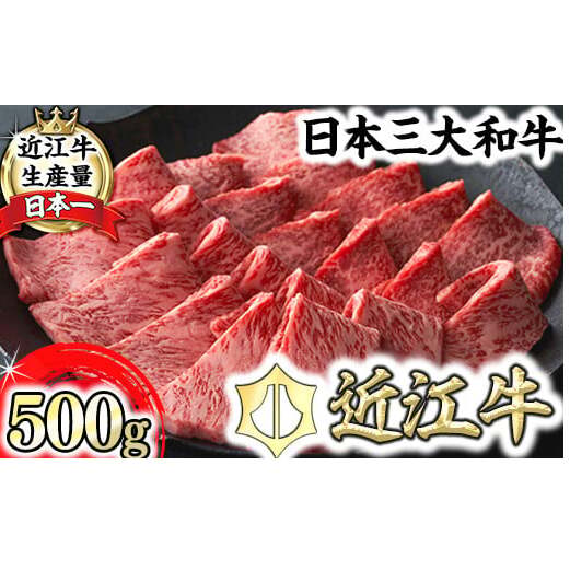 【寛閑観】近江牛焼肉用『霜降り×赤身ミックス』500g（冷蔵）【FR23W】
