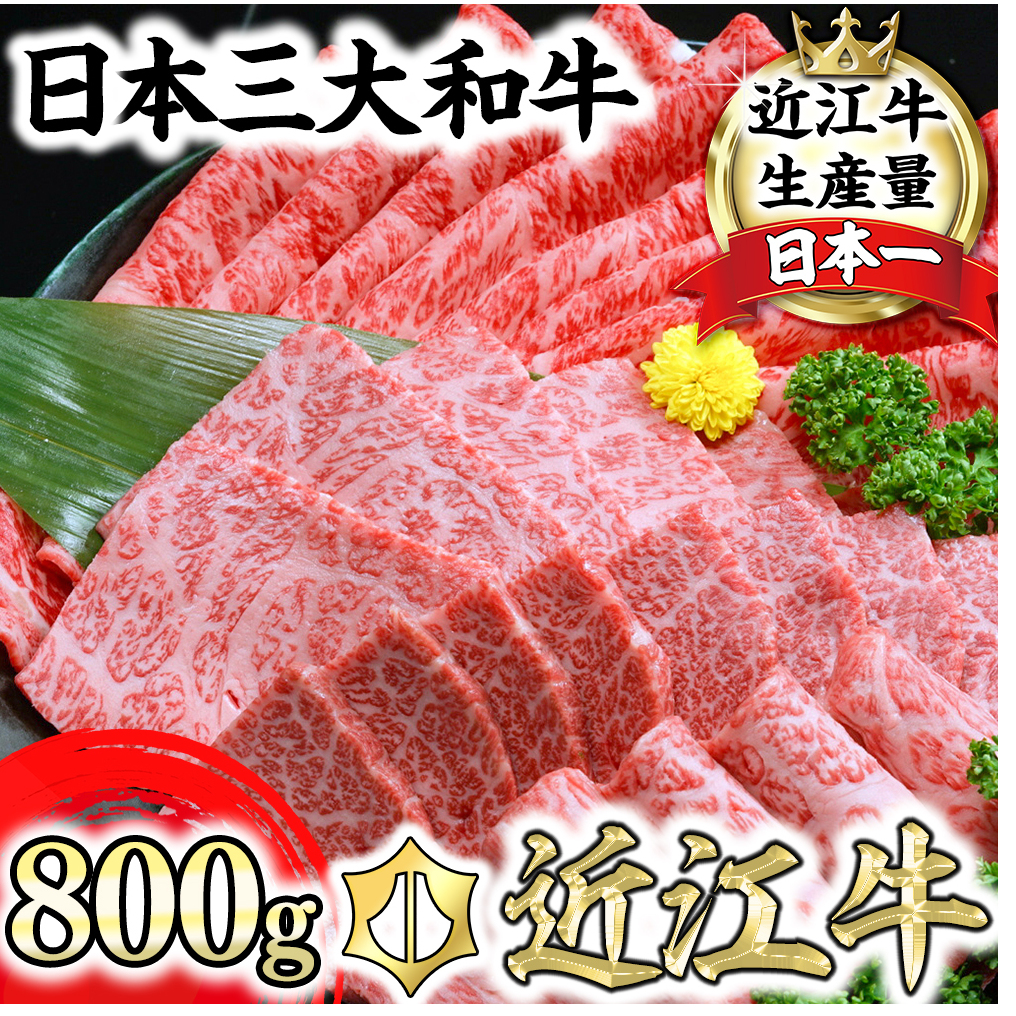 近江牛A5ランク焼肉・すき焼セット【800g】【DG11W】