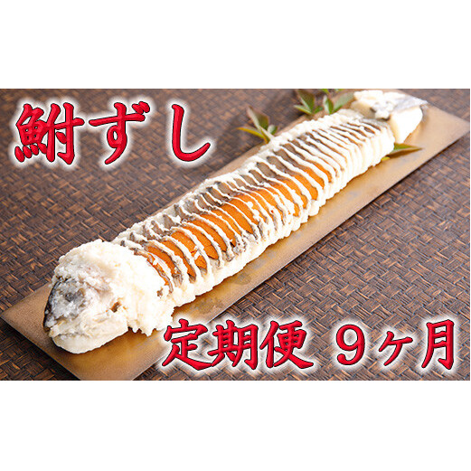 近江本にごろ　ふなずし大380gスライス　定期便（9か月連続お届け）【AD20W】