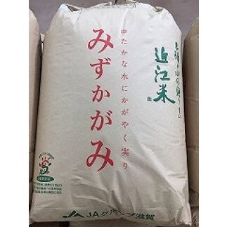 【新米】【令和7年産】環境こだわり米「みずかがみ」玄米【30kg×1袋】【K073W】