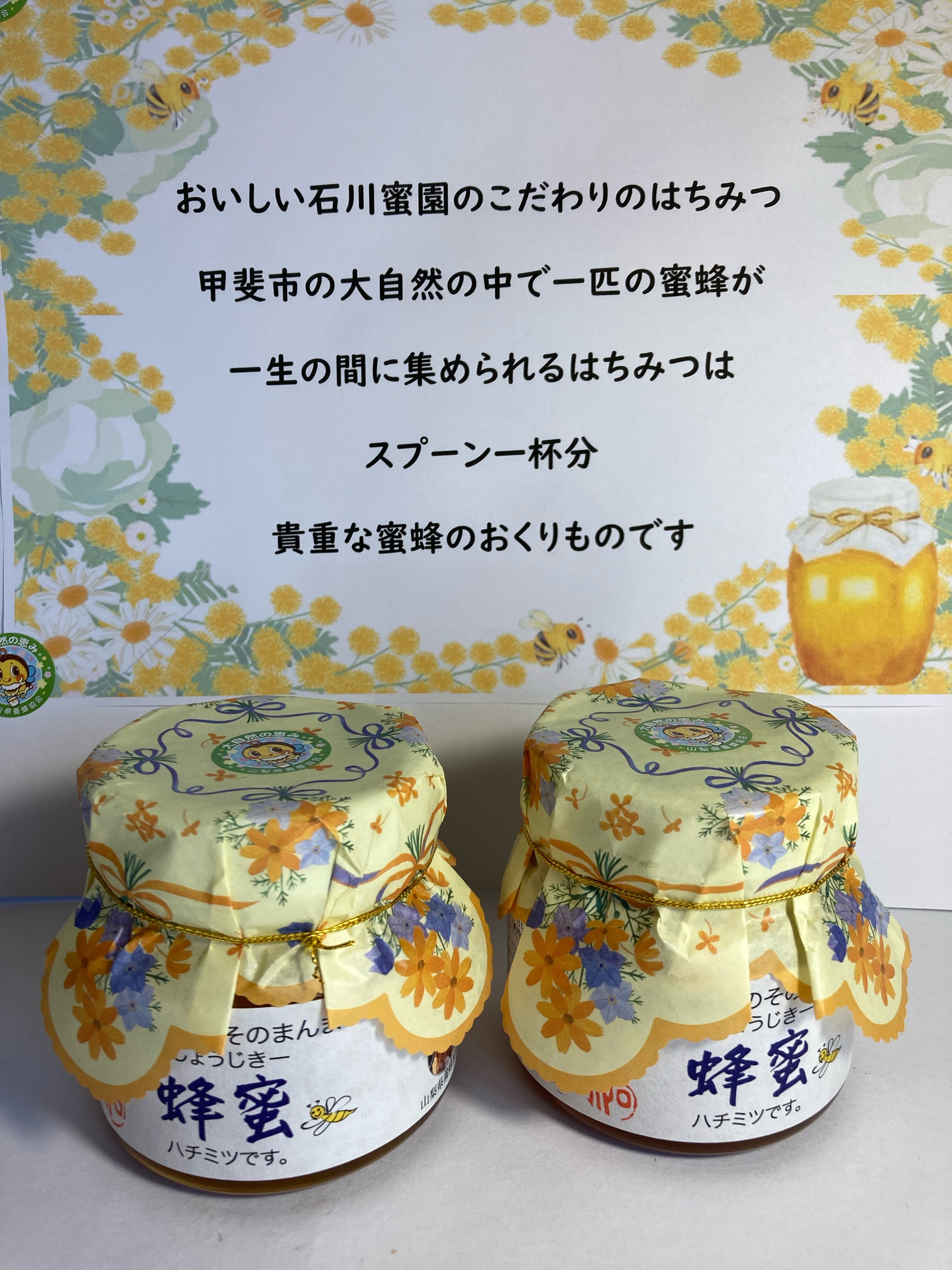 石川蜜園そのまんま　蜂蜜(250g×2本)セット