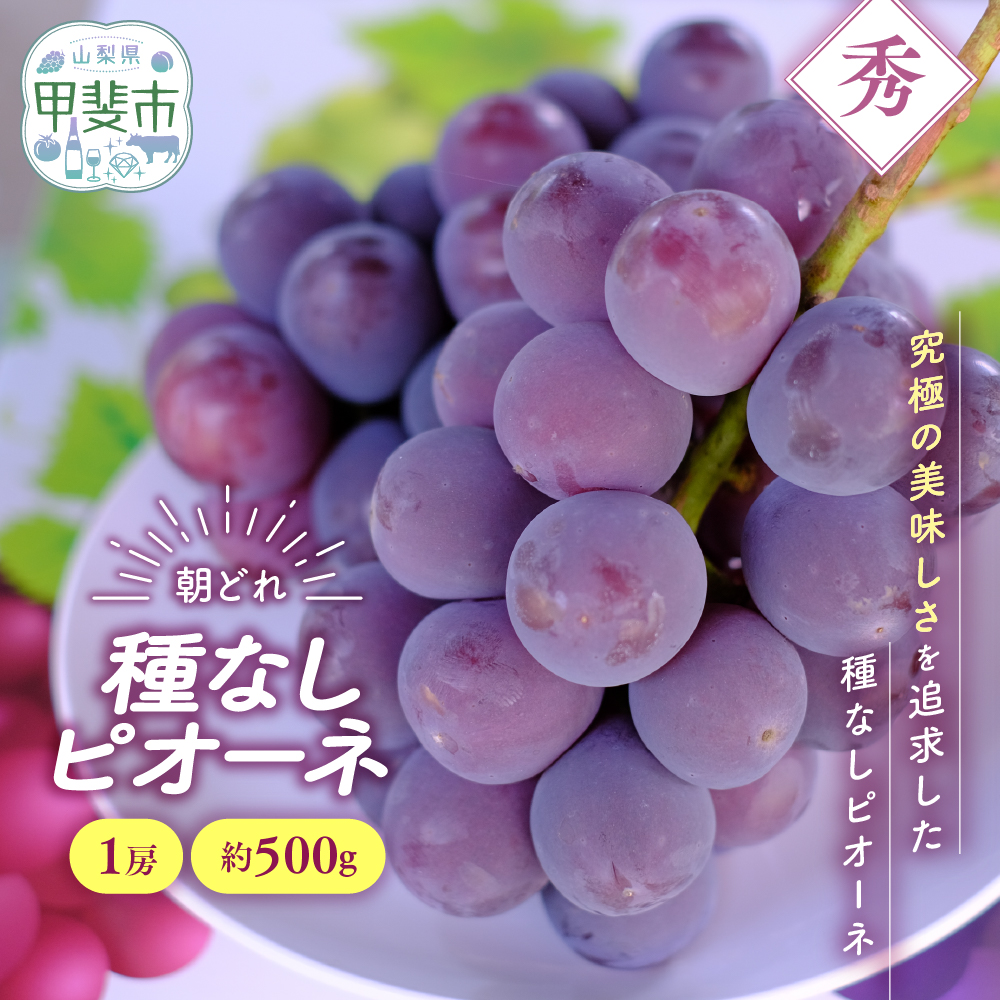 【来年（2026年/令和8年）発送＜先行予約＞】 種なし ピオーネ 1房 約500g 先行予約 先行 予約 山梨県産 産地直送 フルーツ 果物 くだもの ぶどう ブドウ 葡萄 新鮮 人気 おすすめ 国産 贈答 ギフト お取り寄せ 令和8年発送分 山梨 甲斐市 AV-32
