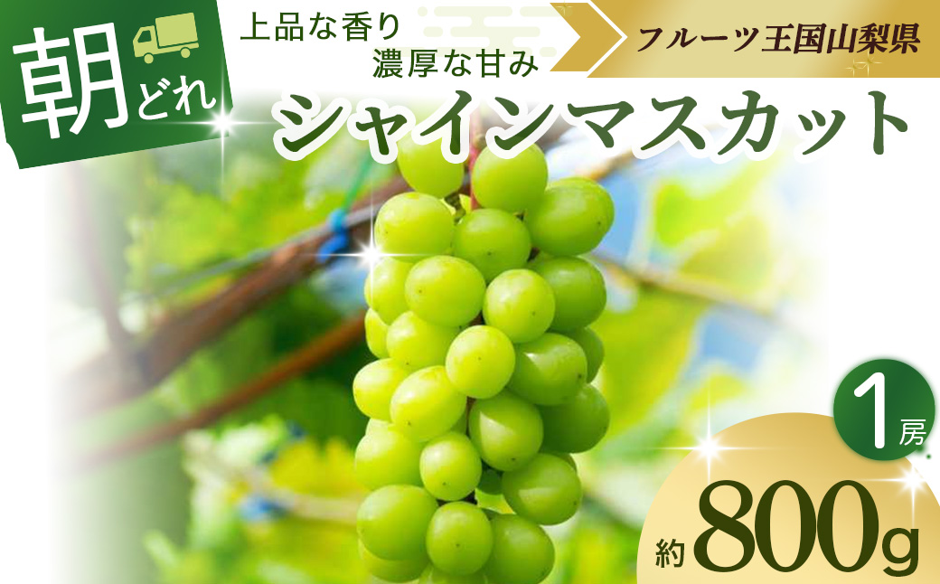 [2025年発送]シャインマスカット 1房 約800g 先行予約 山梨県産 国産 甲斐市 産地直送 人気 おすすめ 贈答 ギフト お取り寄せ フルーツ 果物 くだもの ぶどう ブドウ 葡萄 新鮮 甘い 皮ごと 種なし AV-1