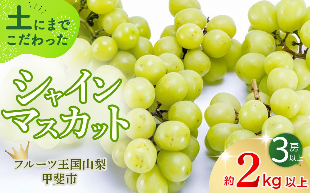 [2025年発送]土にこだわったシャインマスカット 2kg 3房以上 先行予約 山梨県産 国産 産地直送 人気 おすすめ 贈答 ギフト お取り寄せ フルーツ 果物 くだもの ぶどう ブドウ 葡萄 新鮮 甘い 皮ごと 甲斐市 BI-2