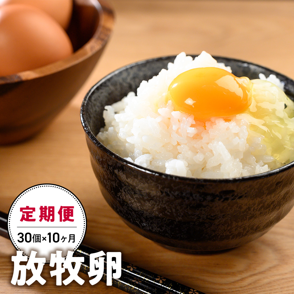 放牧卵30個×10ヶ月 [山梨 卵 定期便]　卵　たまご　タマゴ　玉子　鶏卵　自然卵　放牧卵　平飼い　新鮮　たまごかけご飯