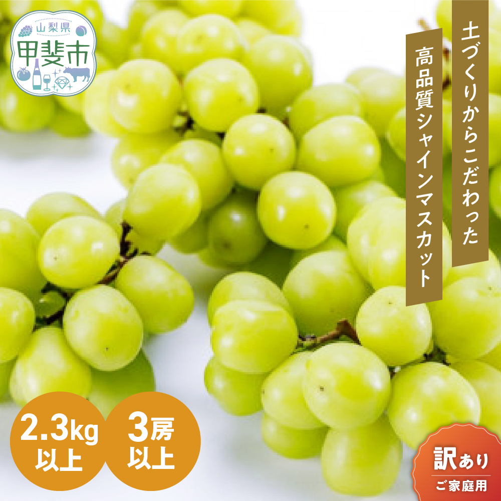 【☆先行予約☆2025年発送】訳あり 2.3kg 3房以上 シャインマスカット 先行予約 山梨県産 国産 産地直送 人気 おすすめ 贈答 ギフト お取り寄せ フルーツ 果物 くだもの ぶどう ブドウ 葡萄 わけあり ワケアリ 新鮮 甘い 皮ごと 甲斐市 BI-1