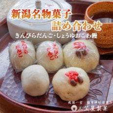 【弥彦名物】きんぴらだんごとしょうゆおこわ饅の詰合せ(12個入り)【配送不可地域:離島】【1065808】