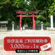 弥彦温泉ご利用補助券 3,000円分【1223075】