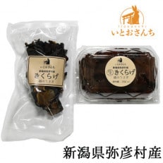 新潟県弥彦村産 越のうさぎ  生きくらげ250g、乾燥きくらげ25g 詰め合わせセット【配送不可地域:離島】【1354239】