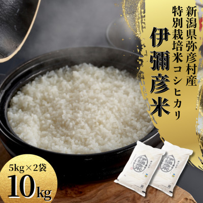 令和7年産特別栽培米コシヒカリ 伊彌彦米 10kg(5kg×2袋)新潟県産 精米 弥彦村【1006486】
