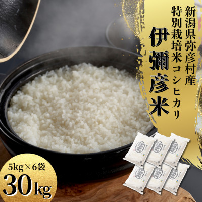 令和7年 特別栽培米コシヒカリ「伊彌彦米」30kg(5kg×6袋)新潟県産 精米 弥彦村【1006487】